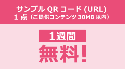 サンプルQRコード（URL）1点（ご提供コンテンツ30MB以内）